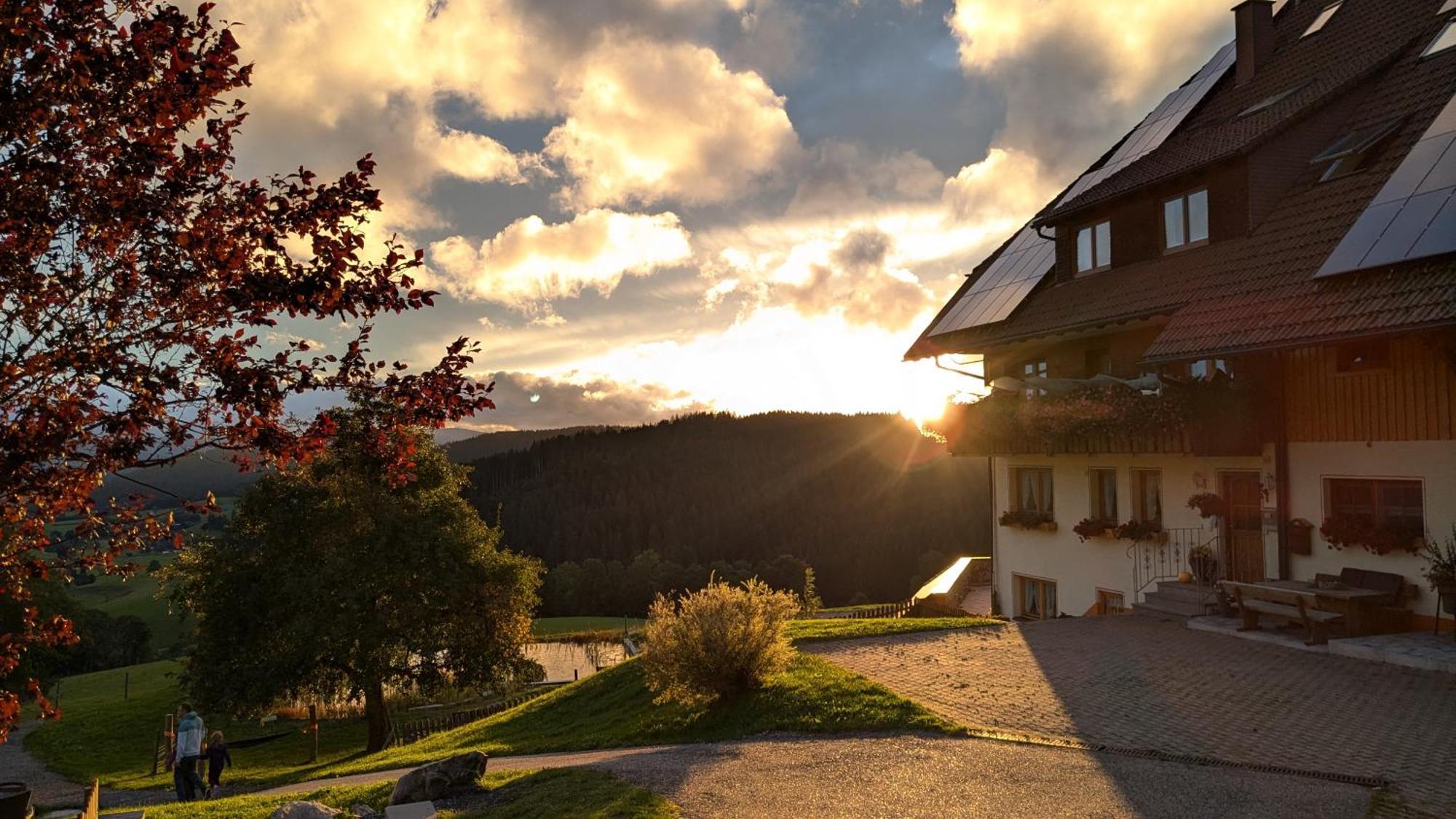 Apartamento Haberjockelshof Erlebnishof Titisee-Neustadt Exterior foto
