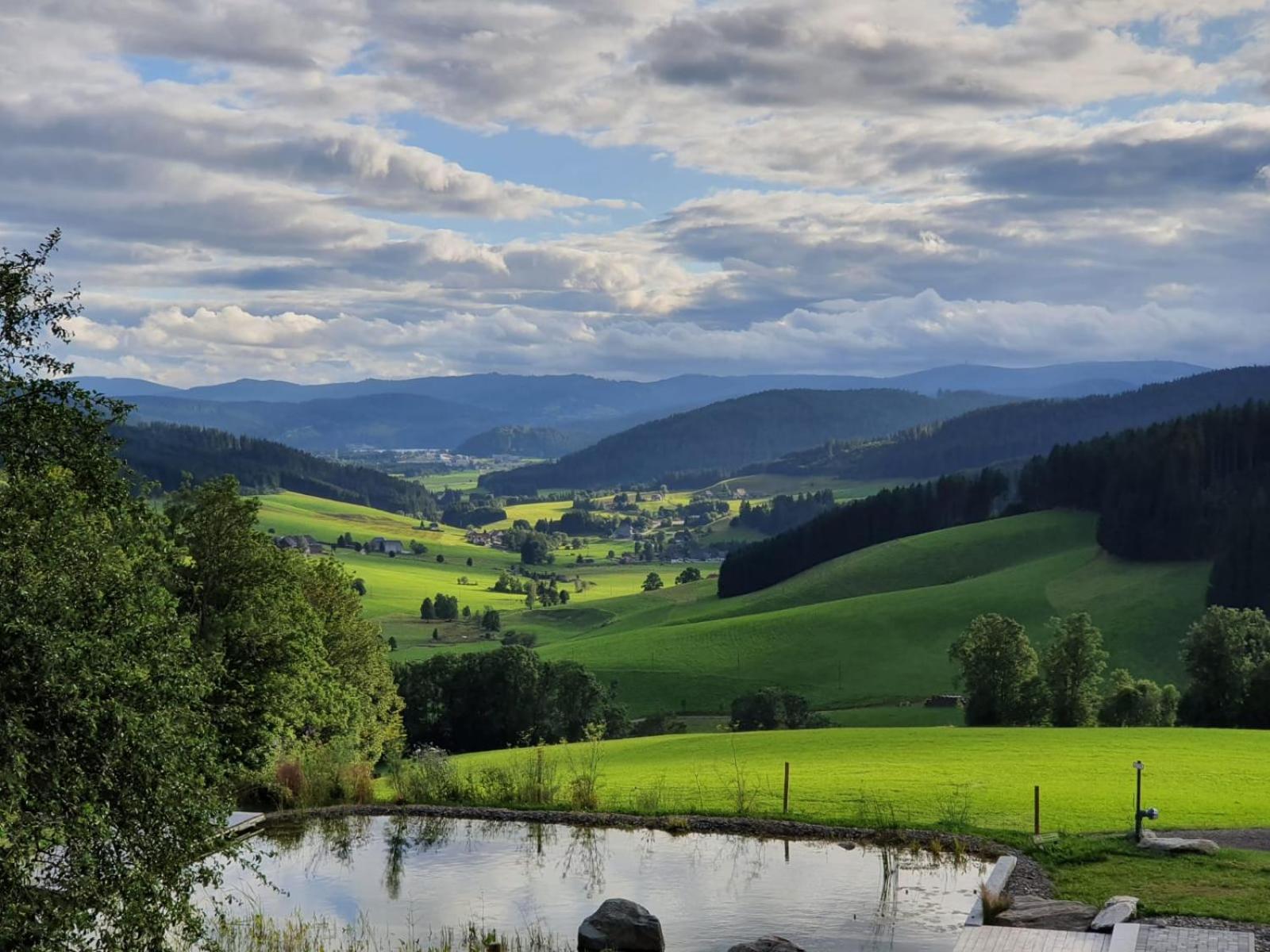 Apartamento Haberjockelshof Erlebnishof Titisee-Neustadt Exterior foto
