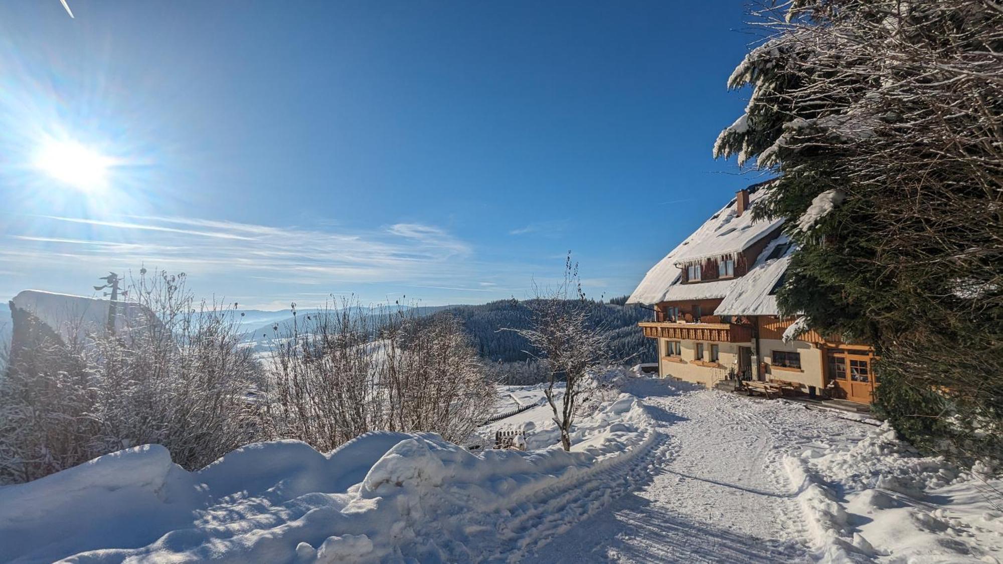 Apartamento Haberjockelshof Erlebnishof Titisee-Neustadt Exterior foto